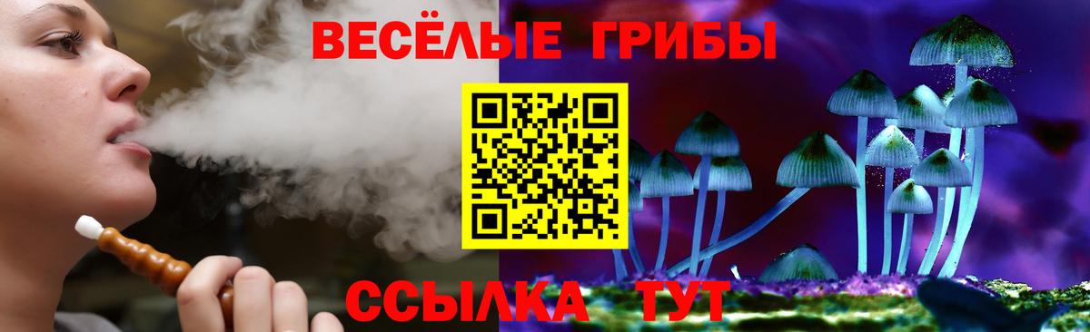 Галлюциногенные грибы MAGIC MUSHROOMS Троицк